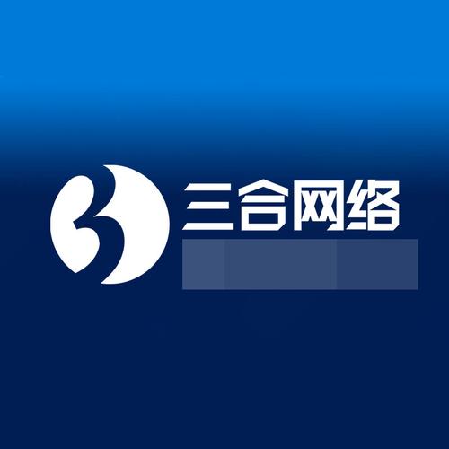 三合网络应用程序开发定制 合弄网络的创新实践与未来展望