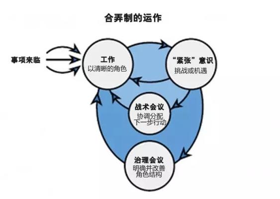 合弄制与合弄网络 未来组织的进化密码